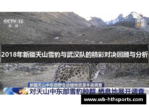 2018年新疆天山雪豹与武汉队的精彩对决回顾与分析 2018年新疆天山雪豹与武汉队的精彩对决回顾与分析